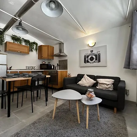 Le Moulin Dans Le Centre Historique De ! Apartment *